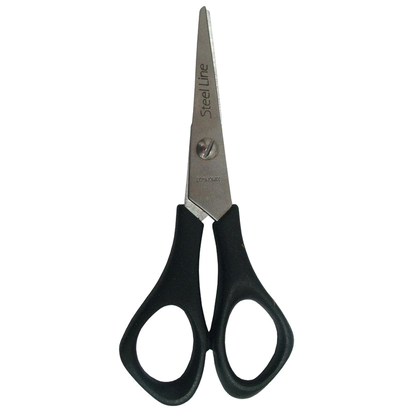 Канцелярські ножиці ECONOMIX (E40411)